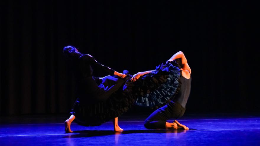imagen decorativa