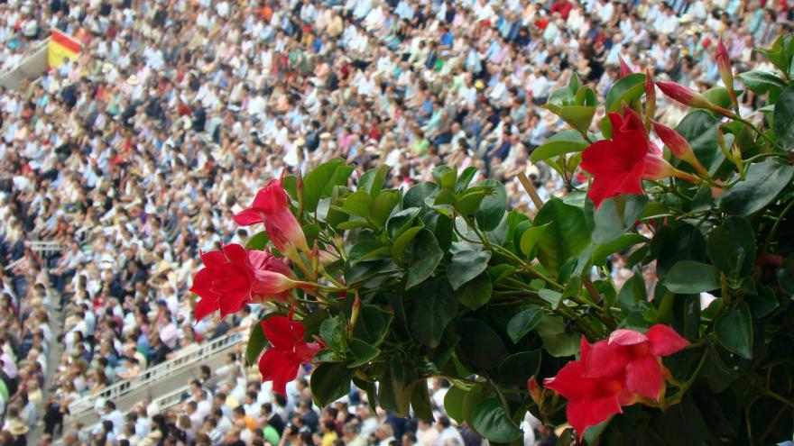 Plaza de toros de Las Ventas