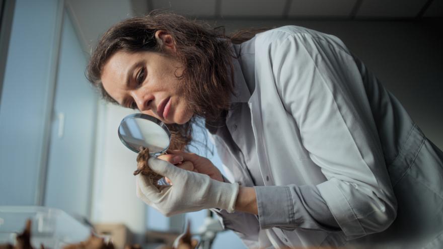 Paleontóloga en el laboratorio