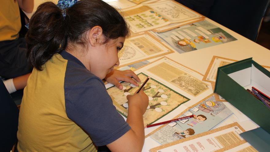talleres pedagógicos