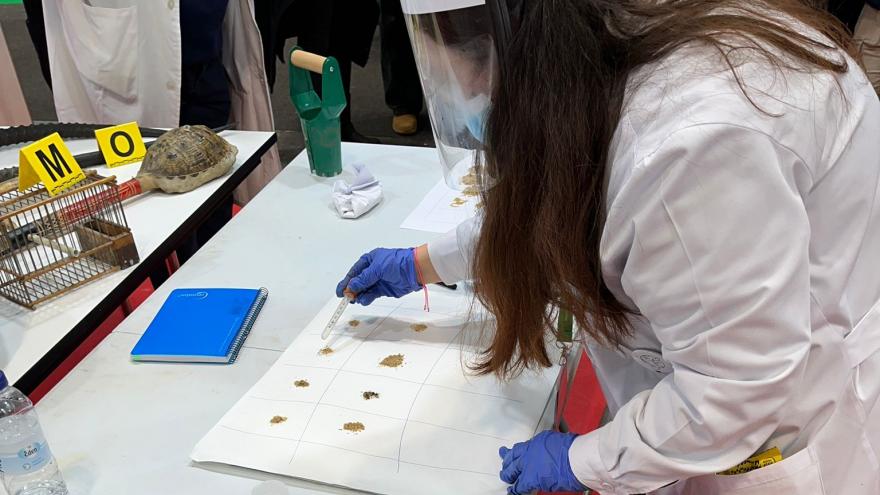 Trabajos de arqueología forense en laboratorio