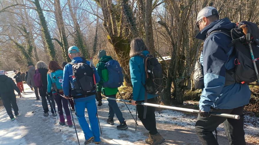Personas caminando de espaldas