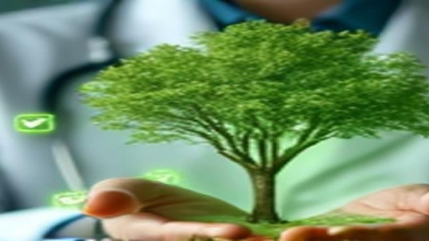 Hombre sosteniendo entre sus manos un árbol verde en miniatura 