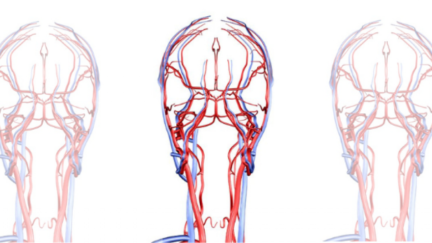 Dibujo lineal en rojos y azules de la circulacióin en el cerebro repetido varias veces