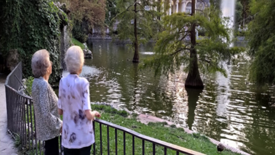 Paciente institucionalizado