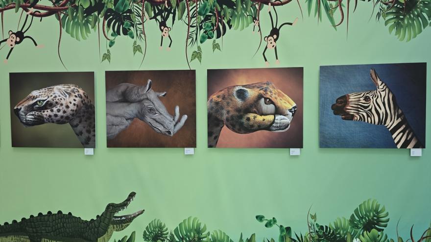 Cuadros de la exposición