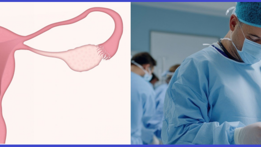 Imagen icónica de organo reproductor femenino y quirófano