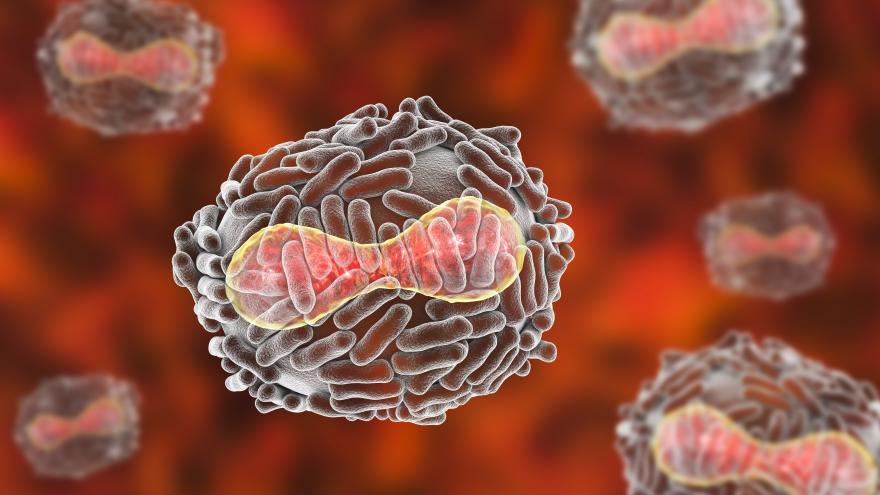 Imagen de cabecera #0 de la página de "Mpox"