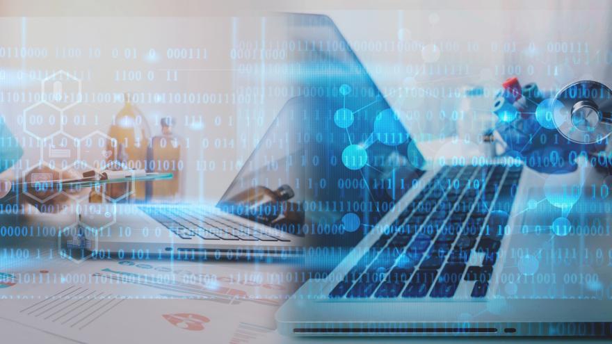 Técnico introduciendo datos en un portátil