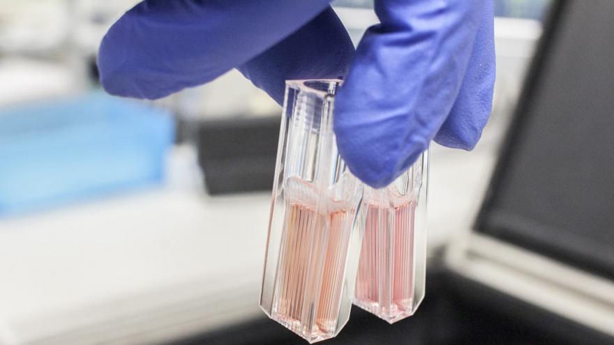 mano sosteniendo dos tubos de ensayo de laboratorio