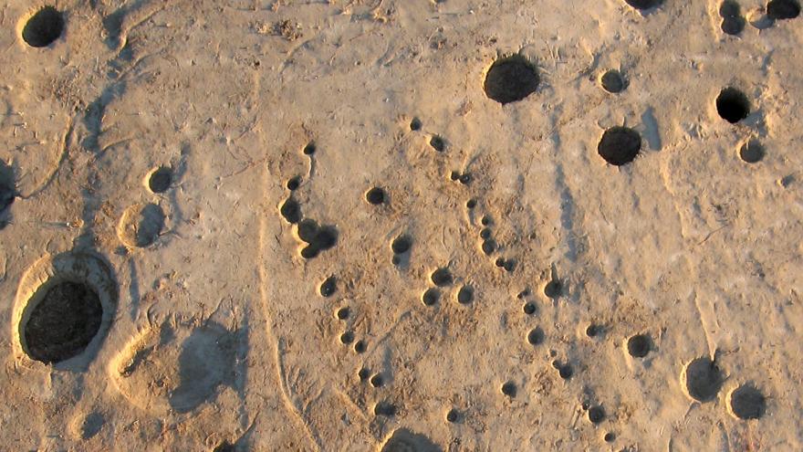 Imagen de la planta cabaña Hierro I del yacimiento de La Cuesta
