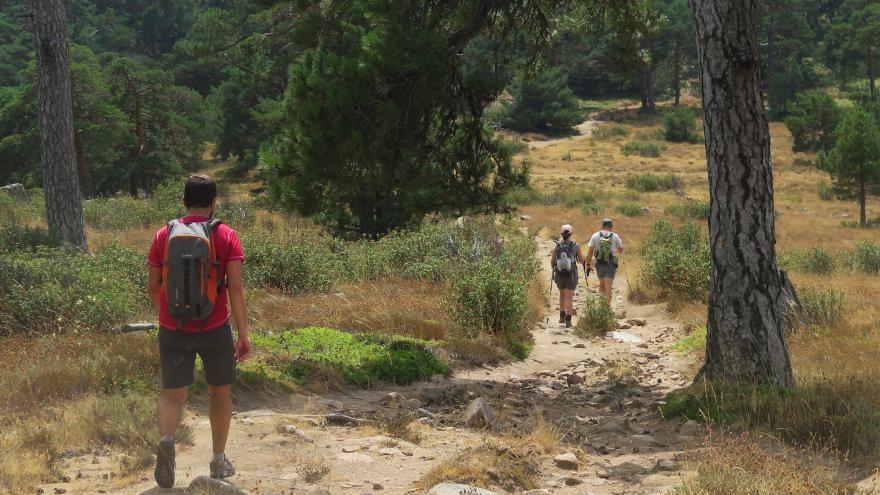 Rutas verdes