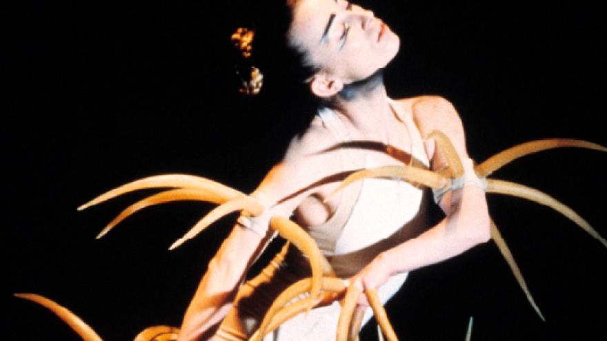 Madrid Danza