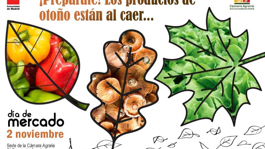 Foto convocatoria