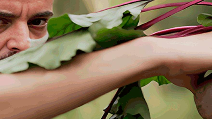 Banner Biocultura 2024