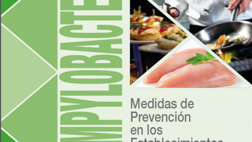 Folleto Campylobacter Portada del Folleto sobre Campylobacter