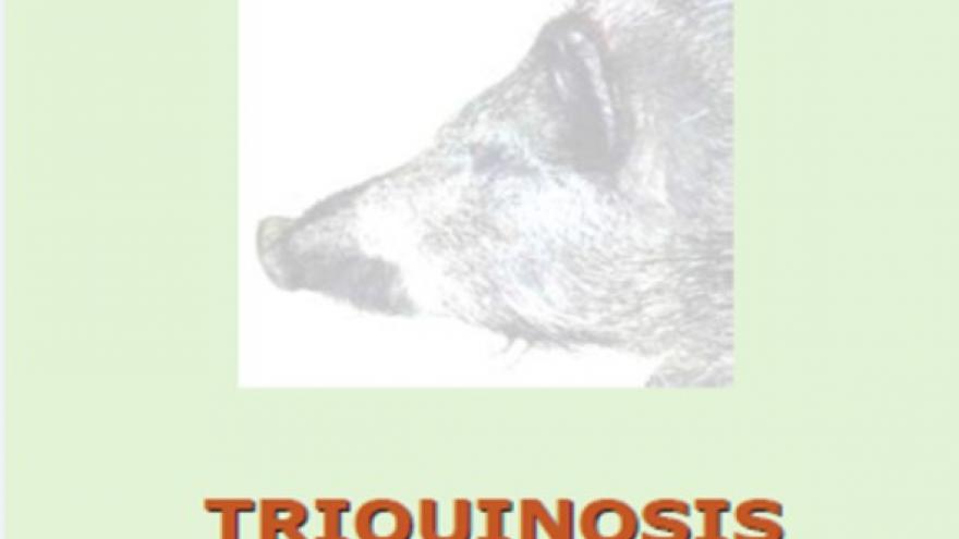 Portada tríptico triquinosis Portada del tríptico sobre triquinosis