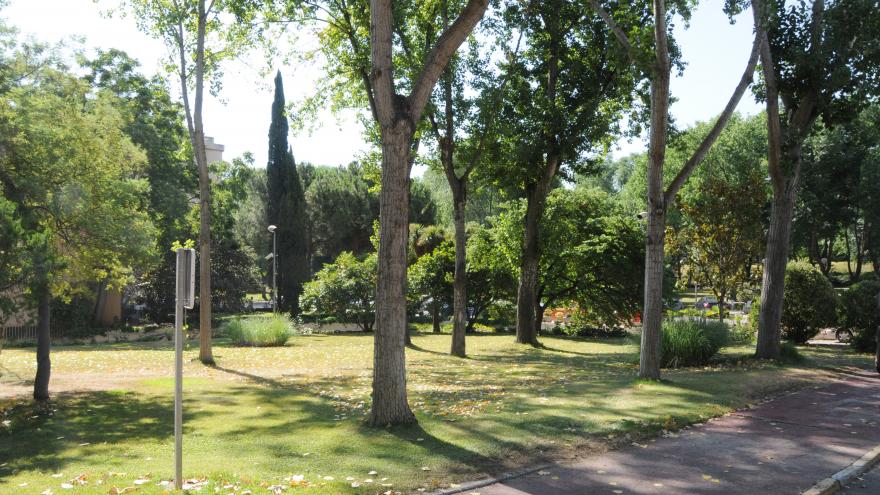 Jardín con arbolado de la RM Manoteras Jardines de la RM Manoteras