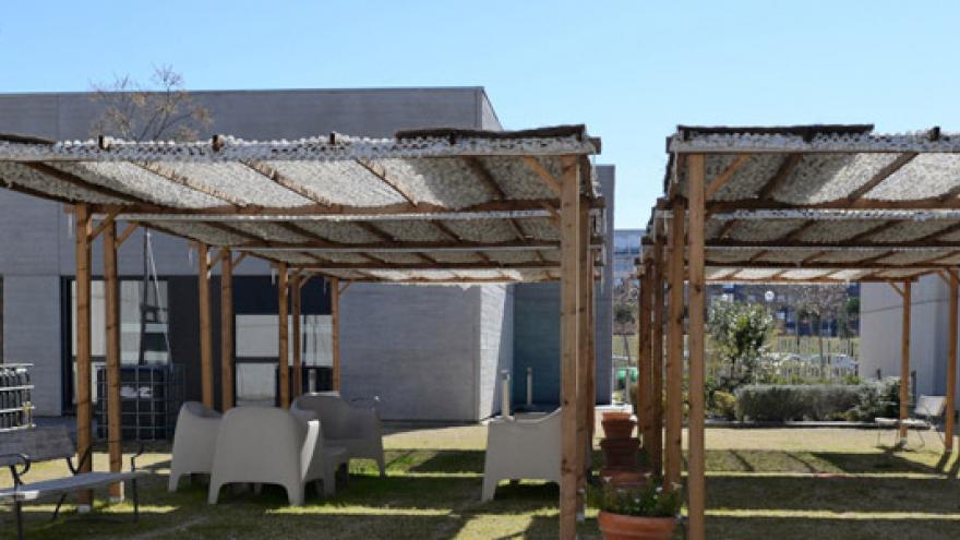 Jardín del Centro Ocupacional APROCOR Frómista - Las Tablas