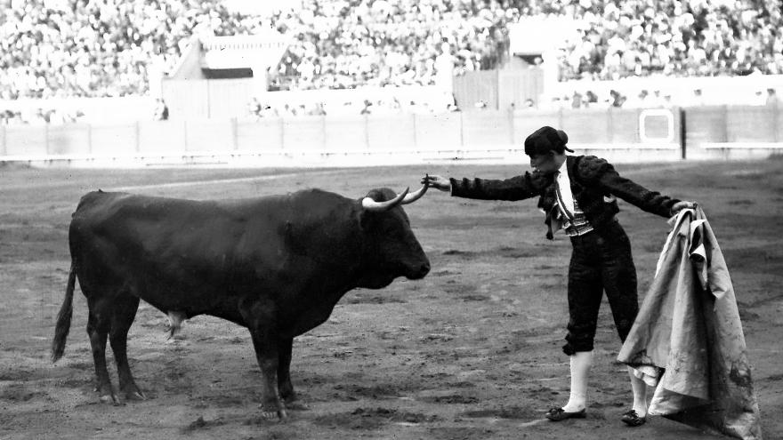 Joselito el Gallo