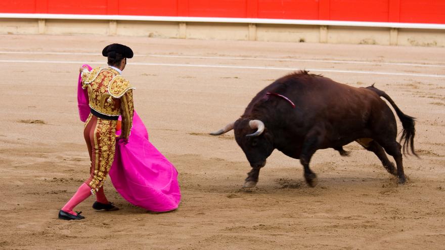 Corrida de Toros