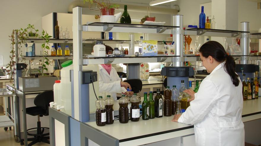 Trabajadores en el laboratorio de agroalimentacion