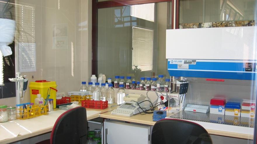 Primer plano laboratorio CENSYRA