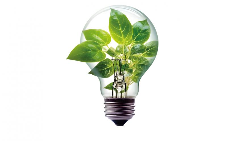 Imagen de bombilla con planta dentro