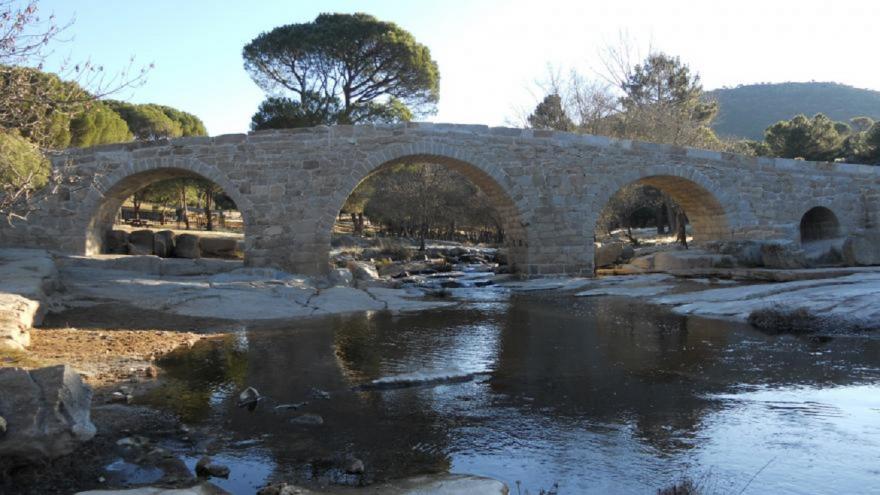 Puente sobre el río vegetación