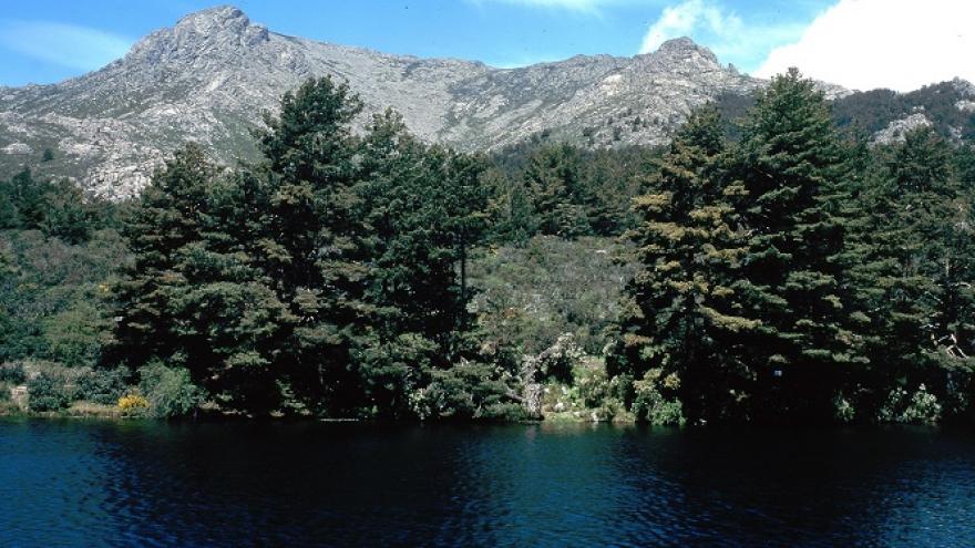 Embalse y vegetación