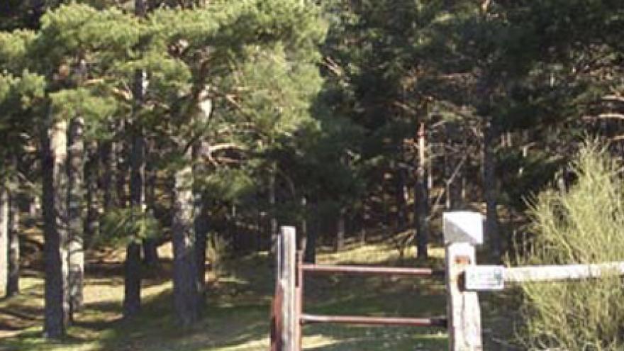 Senda Puerto de Navacerrada - Siete Picos - Cercedilla