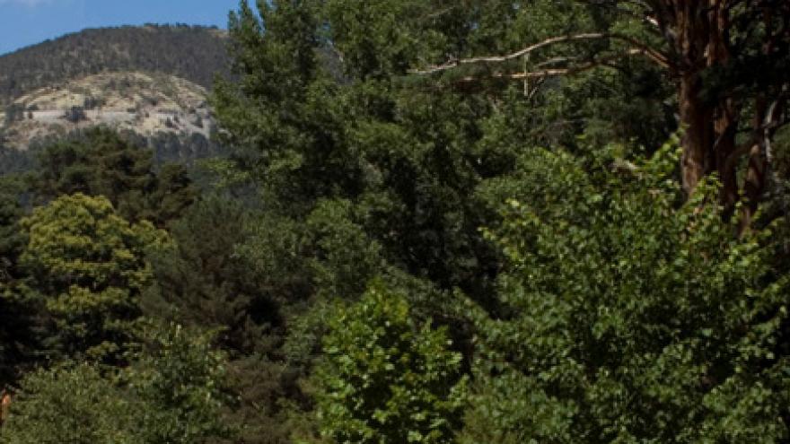 Senda Circular de Cercedilla