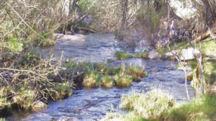 Senda circular de La Pedriza por la Sierra del Francés