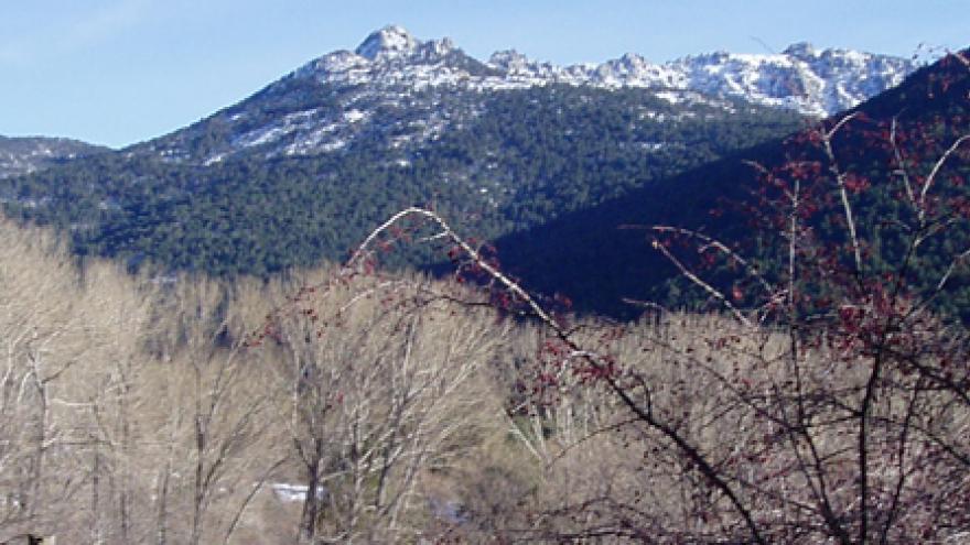Senda Camino Puricelli
