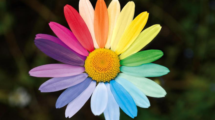 Imagen decorativa