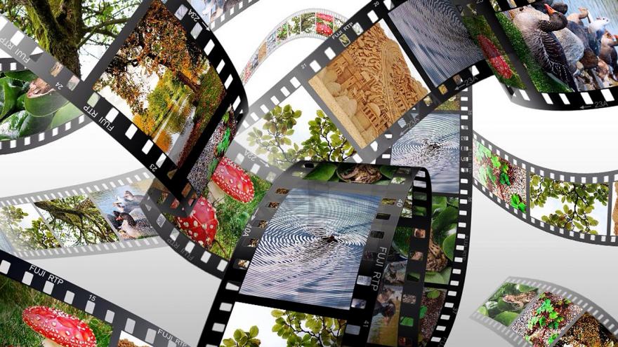 Tiras de película naturaleza