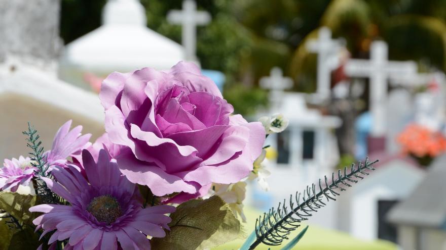 Flores en un cementerio