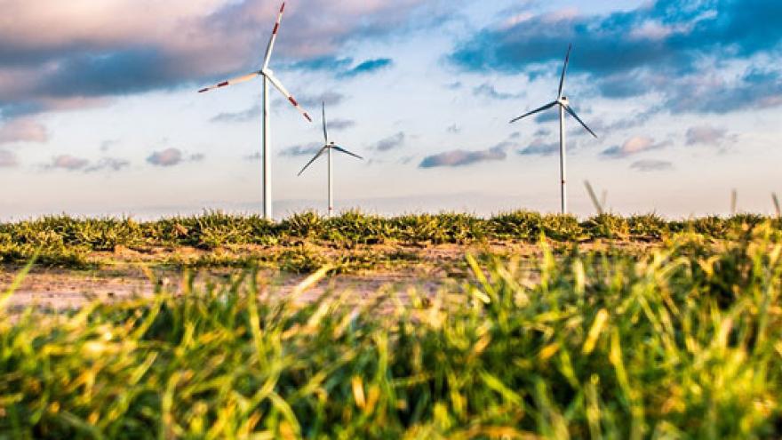 Molinos de viento