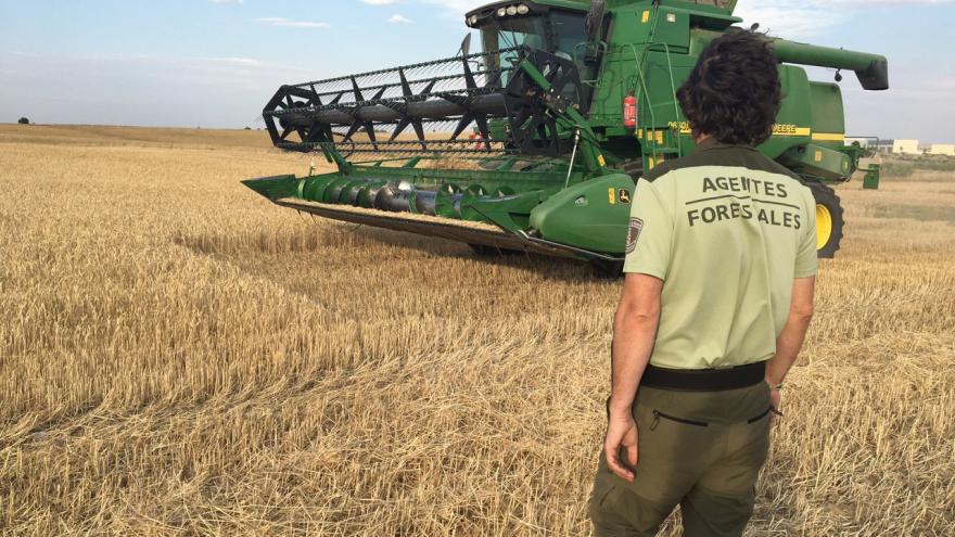 Agentes forestales de la Comunidad de Madrid