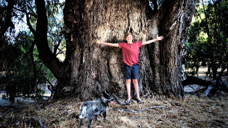 Chico apoyado en un árbol con los brazos abiertos
