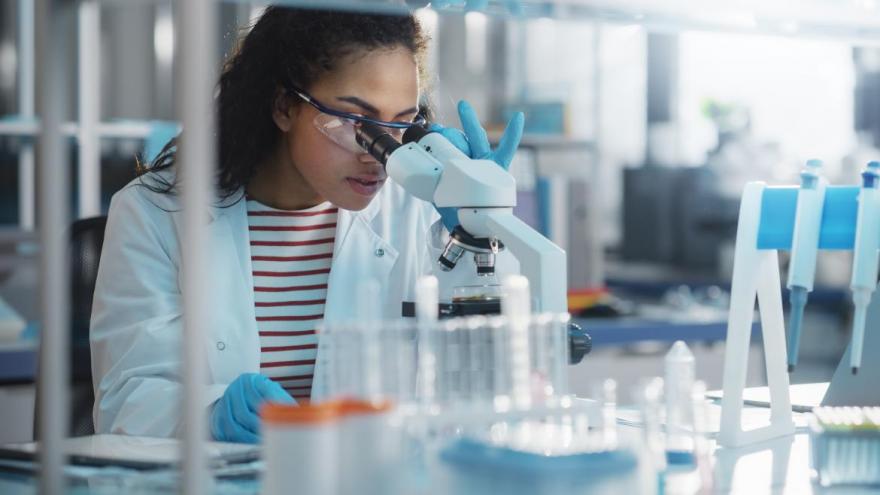 investigadores jovenes