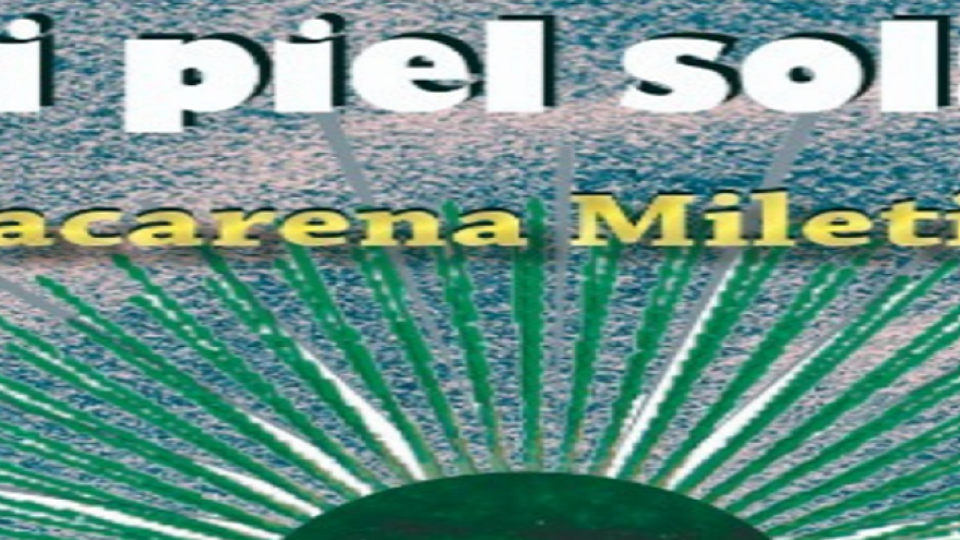 Piel solar