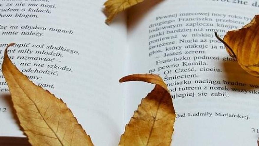 taller escritura