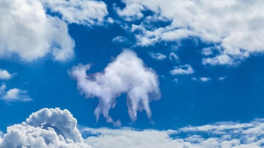 NUBES EN EL CIELO