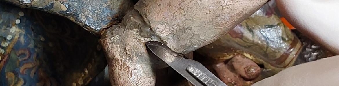restauración inmaculada roldana