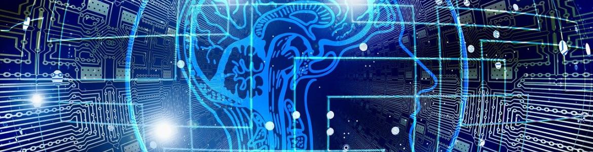 PANTALLA DE UN ORDENDADOR CON UN CEREBRO