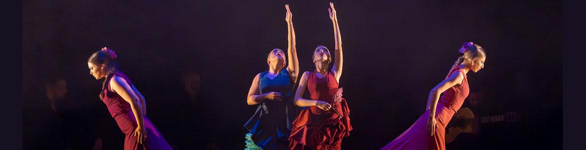 Espectáculo de danza del Conservatorio Profesional de Danza Fortea