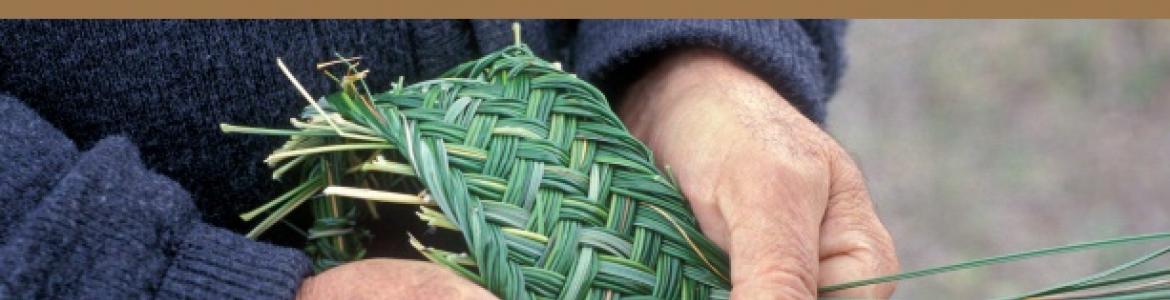 Exposición Biodeversidad imagen decorativa