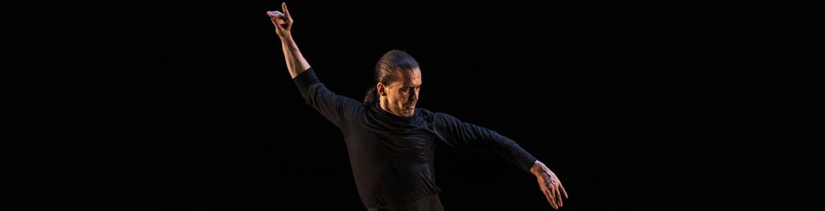 Foto de Flamenco: espacio creativo