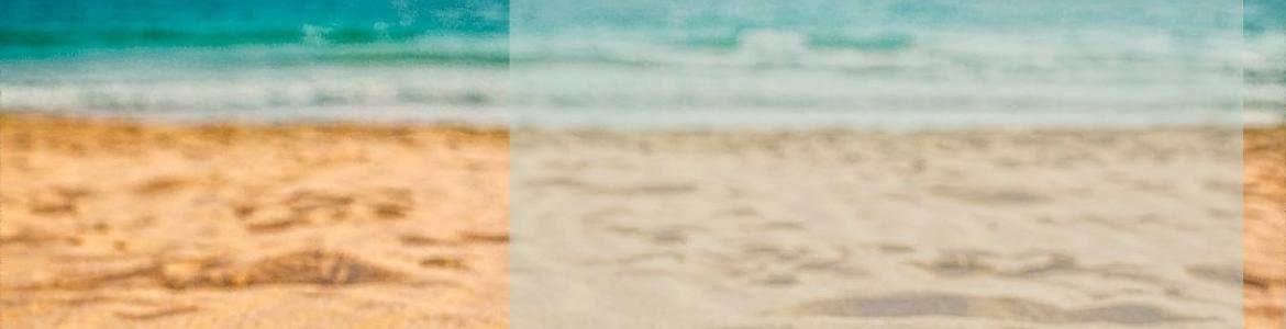 El tesoro del pirata imagen decorativa